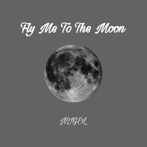 Fly Me To The Moon