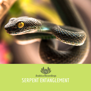 serpententanglement