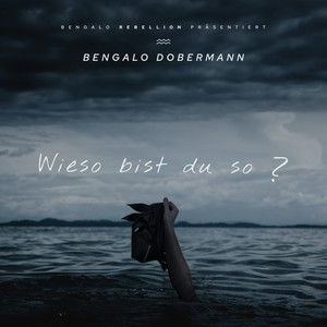 Wieso bist du so (2017)