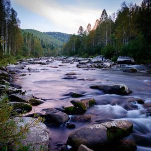 James Adams - Willy Grimes