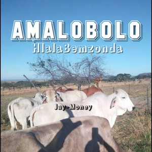 Amalobolo