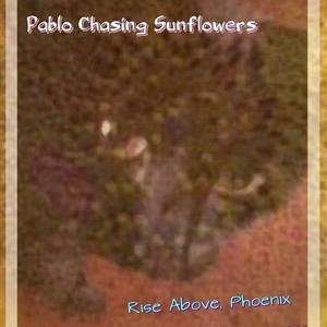 Pablo Chasing Sunflowers