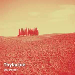 Thylacine