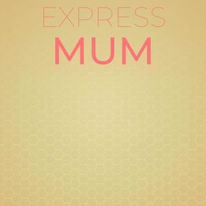 Express Mum