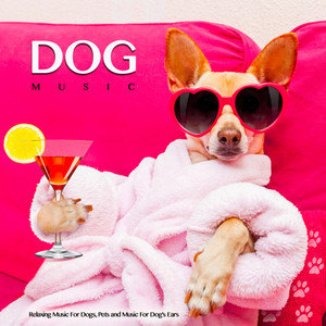 Background Music For Dogs