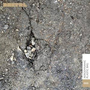 The Elusive Valet Bear