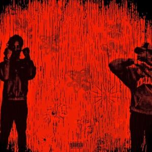 Ruckus (feat. Rooka!) (Explicit)