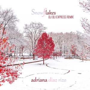 Snowflakes (DJ Oli Express Instrumental Version)