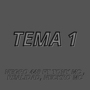 Tema 1