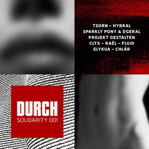 DURCH[digital]SOLIDARITY 001