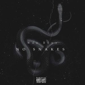 No Snakes (Explicit)