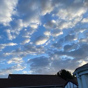 this place (Explicit)