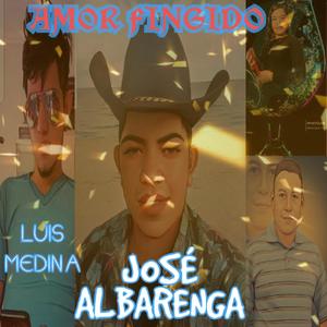 Amor Fingido(feat. Luis Medina)