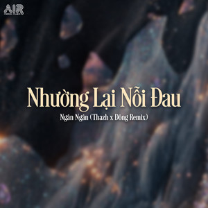 Nhường Lại Nỗi Đau (Thazh x Đông Remix)