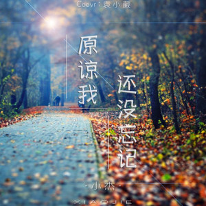 原谅我还没能把你忘记
