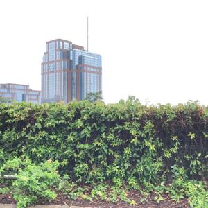 Little Creek (Explicit)