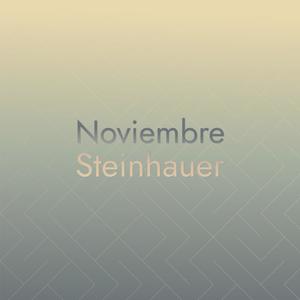 Noviembre Steinhauer