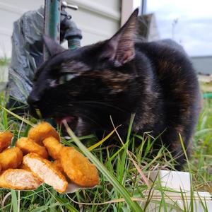 I Need Nuggies (Explicit)