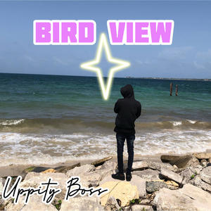 Bird View (Explicit)