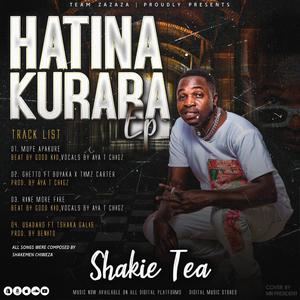 Usadaro (feat. Tshaka Gallis)