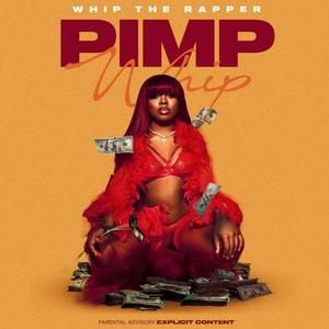 Pimp Whip (Explicit)