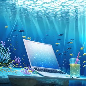 Laptop Unterwasser