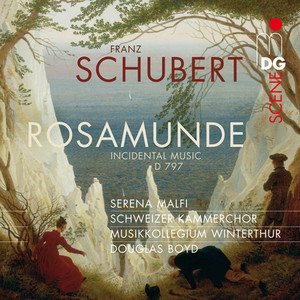 Incidental Music to Rosamunde, Fürstin von Zypern, D 797: II. Entre-Act I. Allegro moderato
