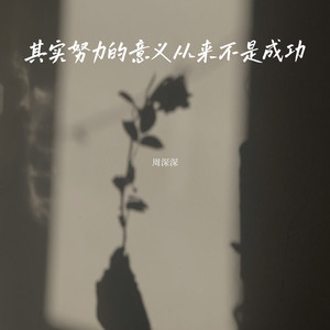 其实努力的意义从来不是成功