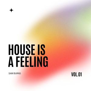 House Is A Feeling