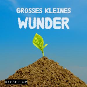 Großes kleines Wunder (Explicit)