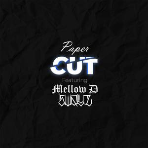 Paper Cut (feat. Mellow D & Swayz) [Explicit]