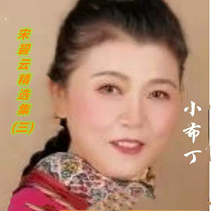 想你的时候问月亮