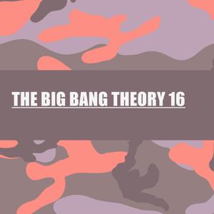 THE BIG BANG THEORY 16