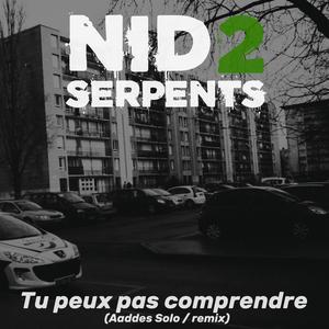 Tu peux pas comprendre (Aaddes Solo) (Remix) [Explicit]