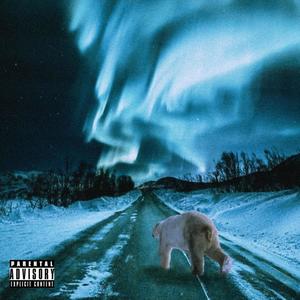 Polarlicht (feat. Kdot The Alien & Renji 56) [Explicit]