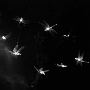 Fireflies