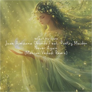 Never Again (Mehran Vedadi Intro Remix)