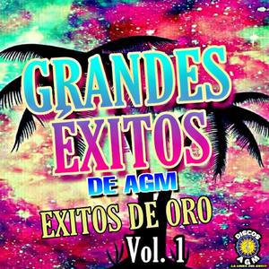 Grandes Exitos De AGM, Exitos De Oro Vol.1