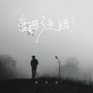 爱错了走错了-张艺迈