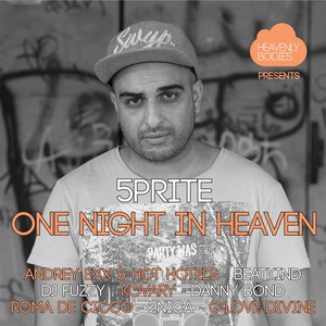 One Night In Heaven, Vol. 6 (Continuous Mix)