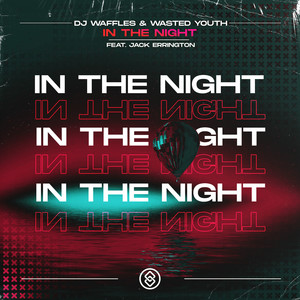 In The Night (Extended Mix)
