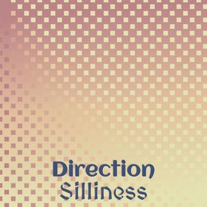 Direction Silliness