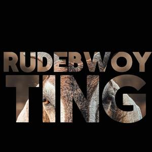 Rudebwoy Ting