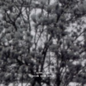 Gimme Some (Brian Ring Remix)