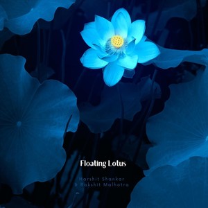 Floating Lotus