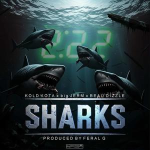 Sharks (feat. BigJERM, Kold Kota & Beau Dizzle) (Explicit)