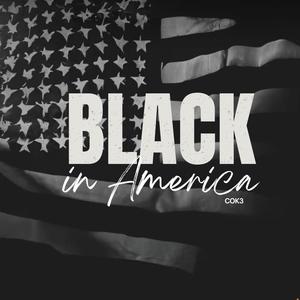 Black in America (Explicit)