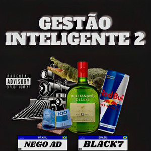 GESTÃO INTELIGENTE 2 (Explicit)