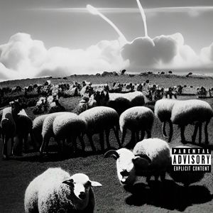 INFLAMMATION (Explicit)