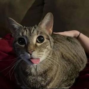 Yu What I Need (Explicit)